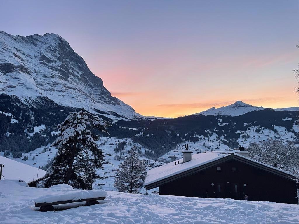 Eiger View Alpine Lodge Гринделвалд Екстериор снимка