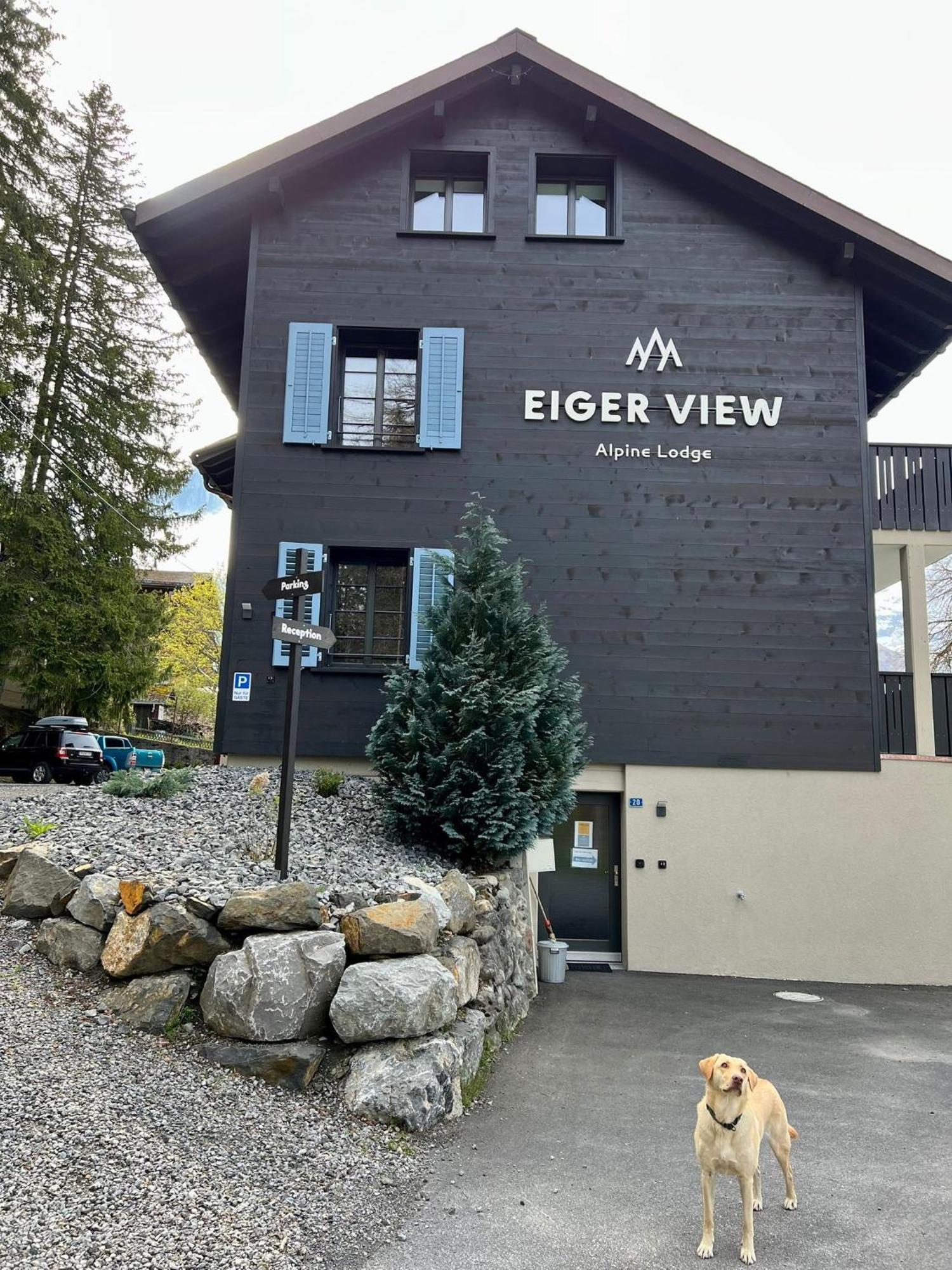 Eiger View Alpine Lodge Гринделвалд Екстериор снимка